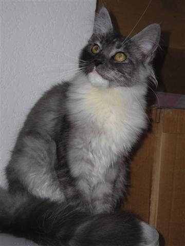 6 Mois.jpg